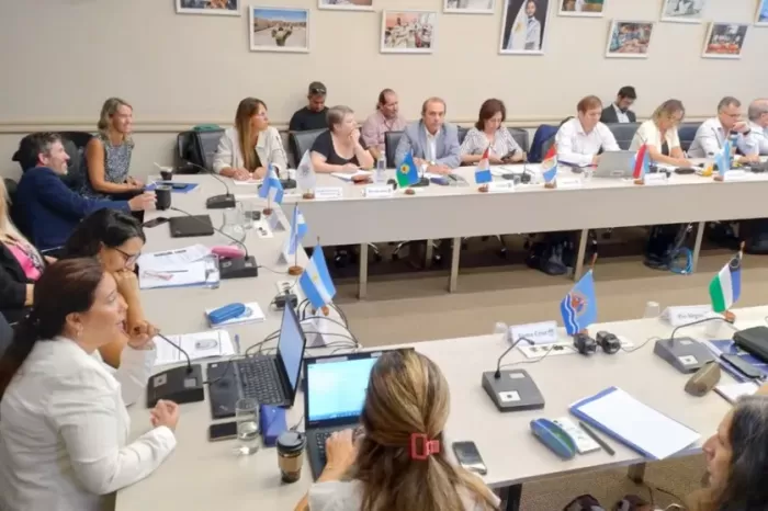 Escenarios digitales: Neuquén participó de la Mesa Federal de Formación Docente