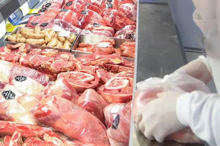 Barrera Sanitaria: Neuquén cuestiona los cambios para el ingreso de carne con hueso a la Patagonia