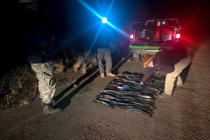 Pesca ilegal: Truchas decomisadas fueron donadas a comedores