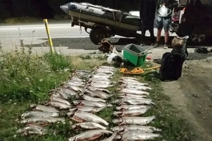 Semana Santa: reforzarán controles contra la pesca y caza ilegal