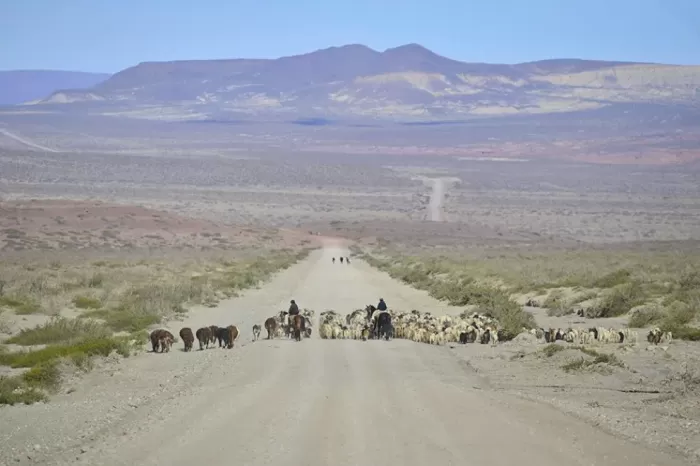 Coatz destacó obras de conectividad para el Alto Neuquén