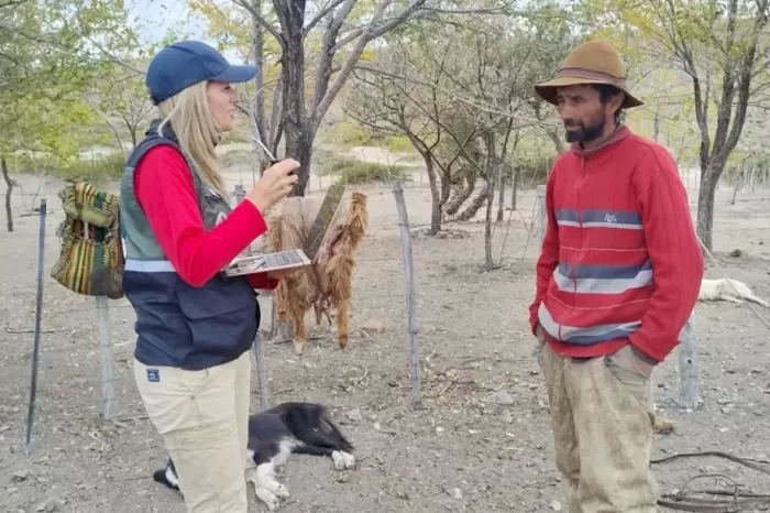Balance positivo: Culminó sin incidentes ni heridos el regreso de los veranadores