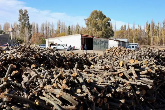 Gestión Integral para el frío: Inició la entrega de leña en barrios de Neuquén