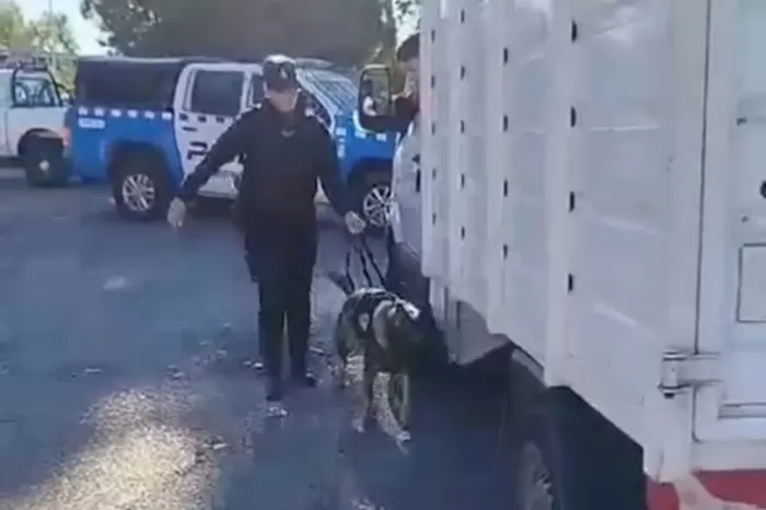 Operativos de alto impacto: Intensifican control en accesos a la Provincia para prevenir ingreso de drogas