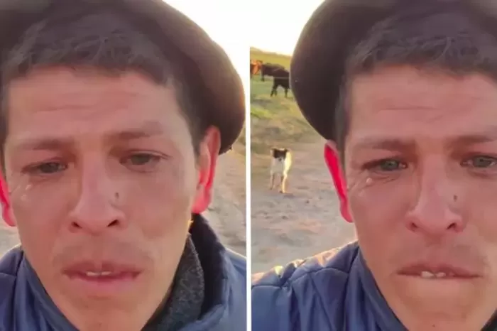 Conmovedora despedida rural: un peón fue echado tras 11 años y rompió en llanto al dejar a su compañero más fiel (VIDEO)