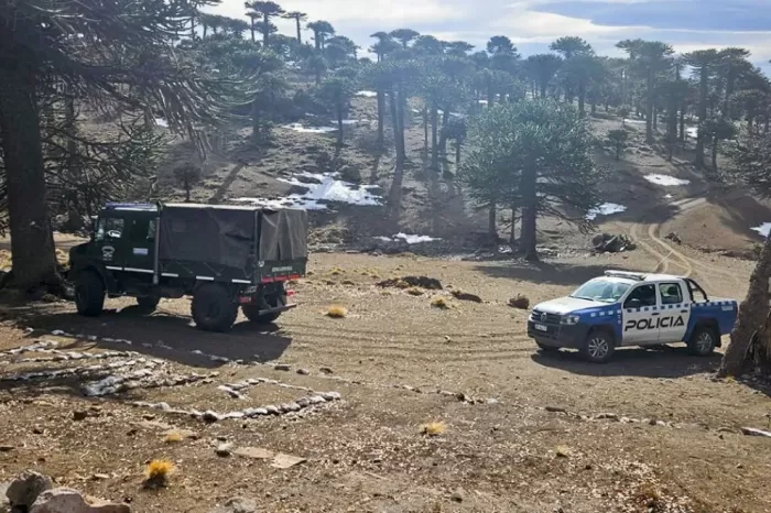 Prevención: Operativo conjunto de Policía y Gendarmería Nacional en zona de frontera