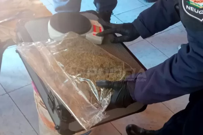 Rápido accionar: En investigaciones por una amenaza, secuestraron drogas en Plottier