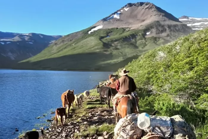 Emprendimiento rural: Cabalgatas al pie del cerro Bonete en la cordillera neuquina