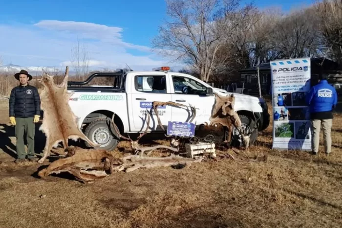 Fauna y Policía desbarataron banda de cazadores furtivos