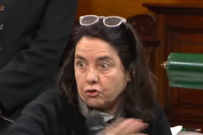 "No creo que los niños tengan derecho a ser curados en el Garrahan": polémica frase de una senadora