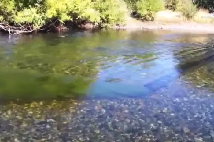 Informe Técnico Interinstitucional: Preocupa a los Guías de Pesca el estado del Agua en el Río Chimehuín