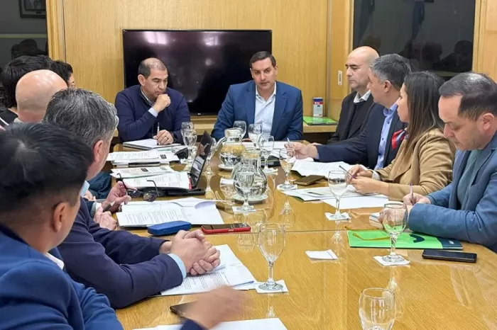 Herramienta institucional: Avanza la implementación de los Consejos de Seguridad Ciudadana