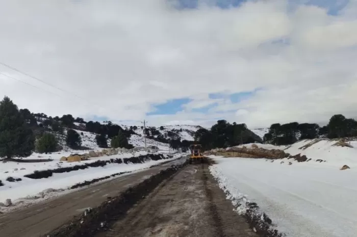 Vialidad Provincial difundió el parte de rutas e instó a consultarlo antes de viajar