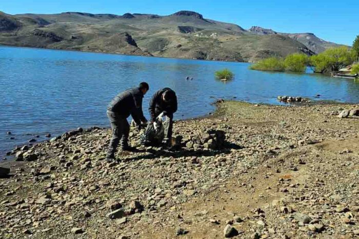 Personal de Guardafauna limpian la costa del embalse Alicurá