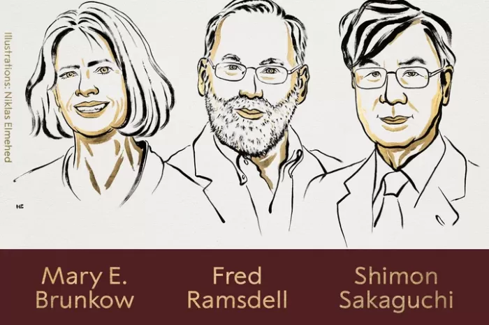 El premio Nobel de Medicina 2025 fue otorgado a Mary E. Brunkow, Fred Ramsdell y Shimon Sakaguchi