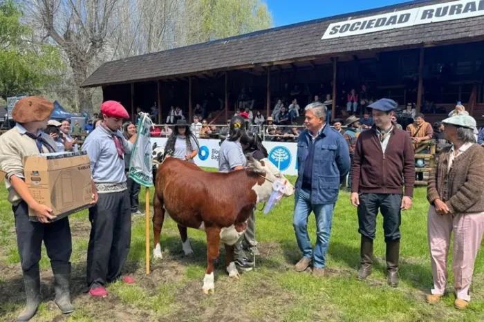 Junín de los Andes: Figueroa recorrió la Exposición de Bovinos y el Remate Anual de Reproductores