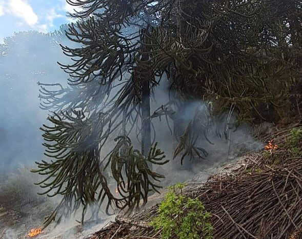 5 focos de incendio por descargas eléctricas declarados en zona Quillén, información 9:00hs.