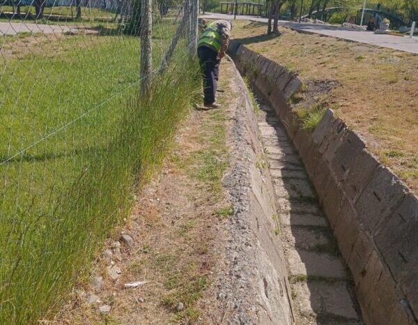 Una ciudad más limpia es un esfuerzo de todos: destacable labor del personal municipal en la limpieza de la Costanera