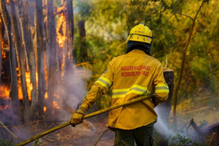 Comienza la veda para quemas de desechos forestales