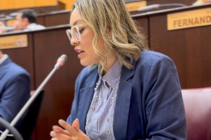 Legislatura de Neuquén declara de interés legislativo logros deportivos, encuentro de mujeres empresarias y jornada sobre consumos problemáticos