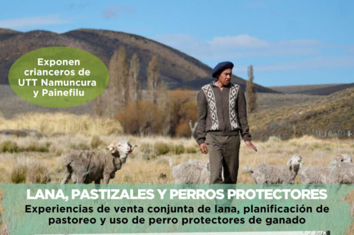 Diálogos de la Tierra: Crianceros comparten experiencias en lana, pastizales y perros protectores