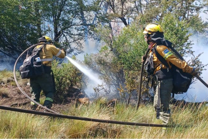 Tormentas eléctricas generaron nuevos focos en la zona cordillerana