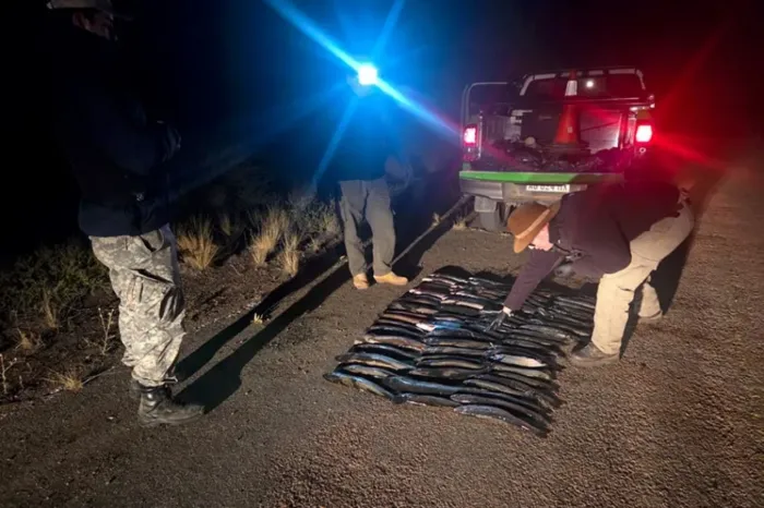 Amplio operativo: Decomisaron 197 truchas y se labraron 90 actas de infracción durante el fin de semana largo