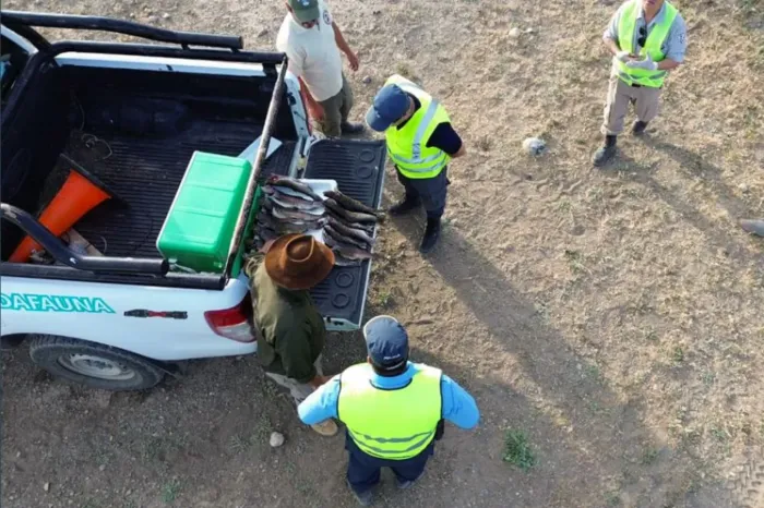 Temporada de pesca: Continúan los controles para preservar los recursos naturales de la provincia