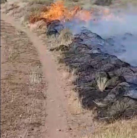 Último Momento: Se reactivó el incendio en la Estancia Chacayal