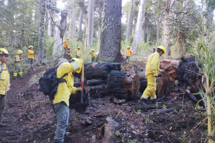 Parque Nacional Lanín declara extinguidos todos los incendios forestales originados por la tormenta eléctrica