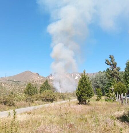 Incendio Forestal amenaza zona del Aeropuerto Chapelco en Neuquén: Autoridades despliegan decursos (videos)