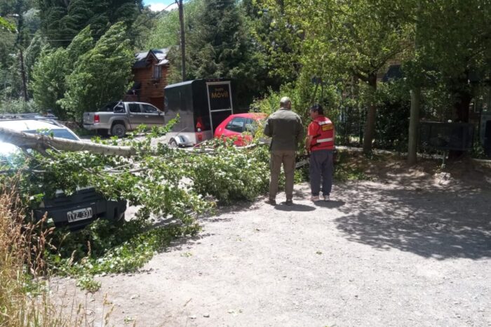 Fuerte temporal de viento en San Martín de los Andes: caída de árbol sobre vehículos y recomendación de no salir