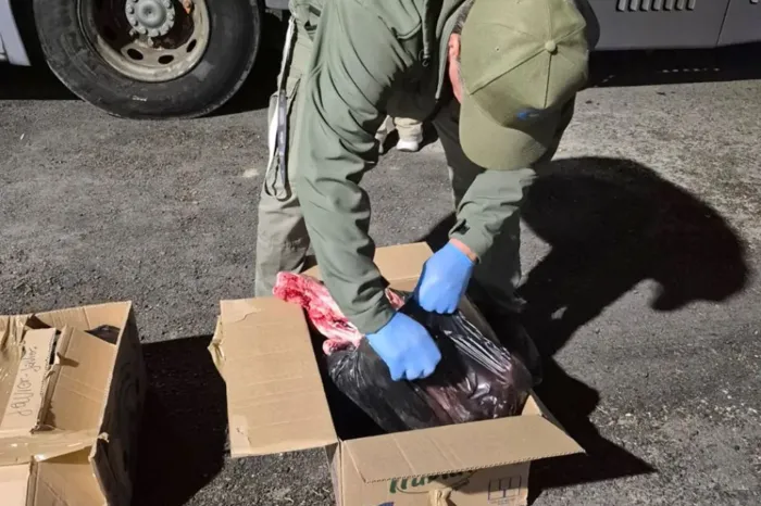 Prevención: El Cippa intensificó controles y decomisó más de 300 chivos