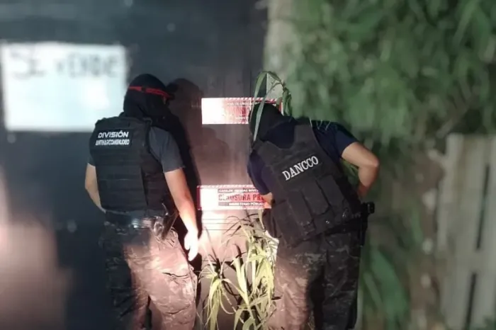 Lucha contra el narcotráfico: Se realizaron exitosos operativos antidrogas en toda la provincia