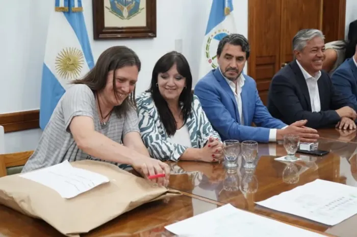 Cuatro ofertas para construir el Centro de Iniciación Artística de San Martín de los Andes