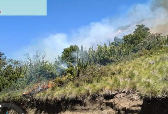 Incendio Lago Hermoso (Lodge) Parte1 - 16.30hs R20