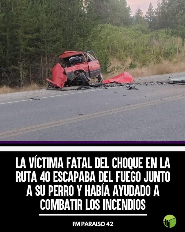 Fatal del choque en la Ruta 40 escapaba del fuego junto a su perro ...