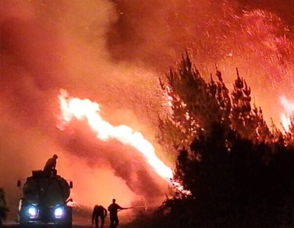 Brigadistas neuquinos en primera línea contra el incendio forestal en Puerto Patriada, Chubut