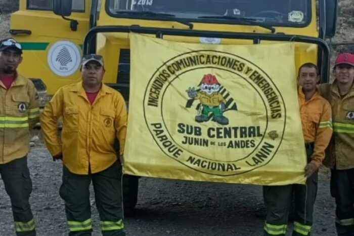 Refuerzo interinstitucional en el combate al incendio de Puerto Café en el Parque Nacional Los Alerces