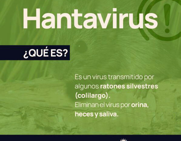 Hantavirus: claves para disfrutar el verano sin riesgos en actividades al aire libre