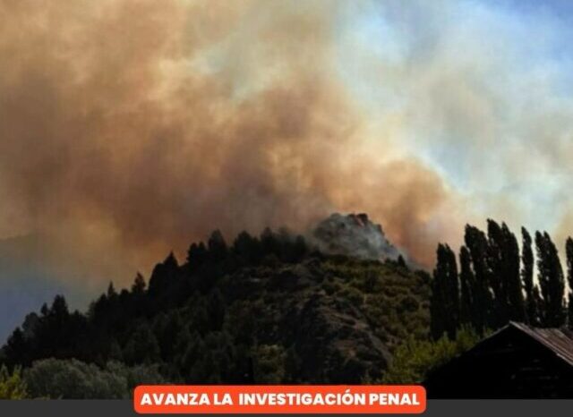 Confirmado: Incendio forestal en Cholila fue intencional
