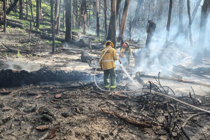 Extinguieron un incendio subterráneo en el Parque Nacional Lanín