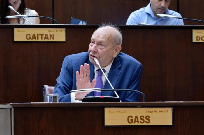 Gass presentó un proyecto para declarar la Emergencia Nacional ígnea en la Patagonia