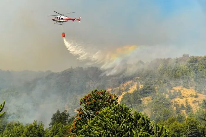 Cooperación internacional: Neuquén ofrece asistencia para combatir incendios en Chile
