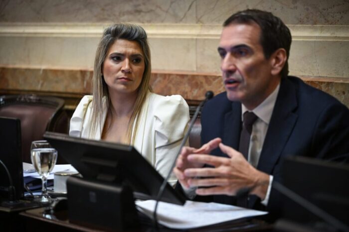 Los senadores Márquez y Cervi celebran la media sanción de la Ley de Glaciares y la ratificación del acuerdo Mercosur-UE