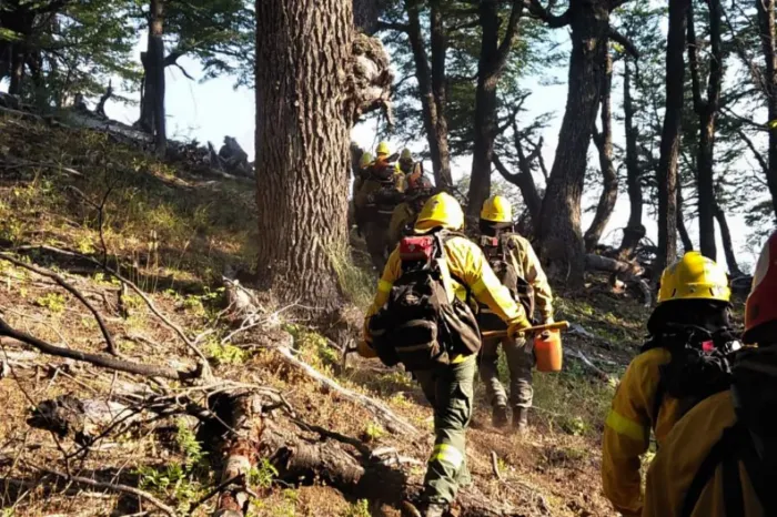 Neuquén tendrá 35 brigadistas luchando contra el fuego en Chubut