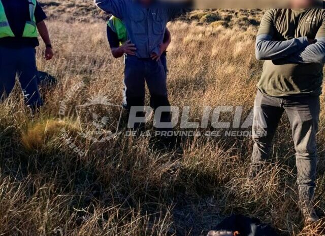 Importante operativo contra la caza furtiva en el sur neuquino