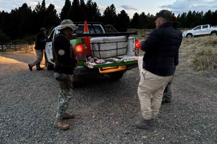 Brigada Rural y Abigeato Zona Sur realizó operativo conjunto con Fauna en Meliquina y Caleufu: secuestraron 33 truchas arcoíris, 7 cañas y 12 elementos de pesca