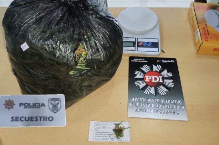 Rectificación: confirman que la planta secuestrada en Las Toscas, era Cannabis Sativa (marihuana)