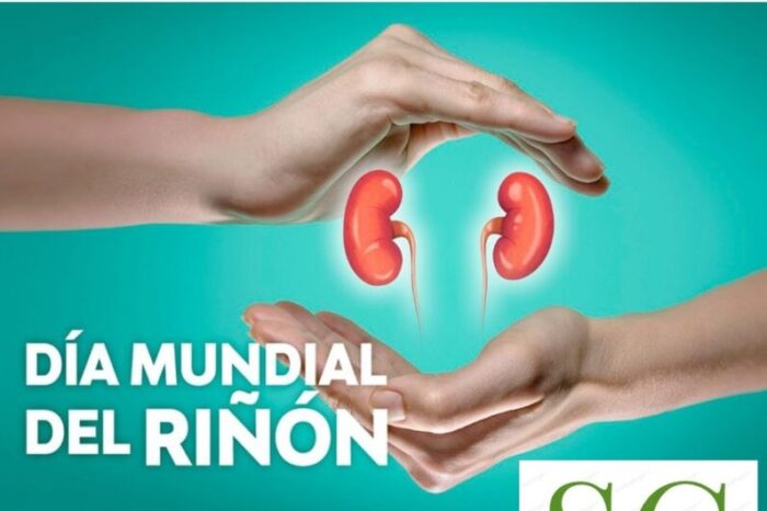 ¿Cómo cuidar la salud de tus riñones?